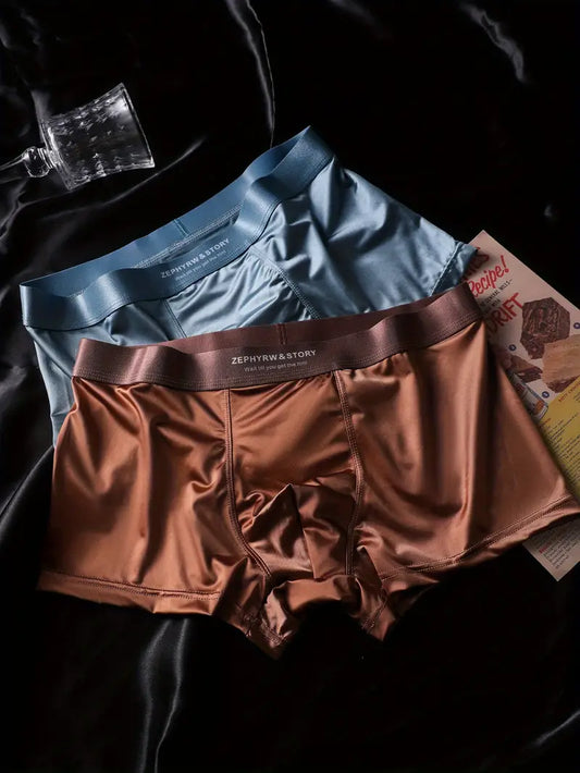 BIWEIER Men’s Ice Silky Briefs – 5-Pack High Elasticity Boxer Shorts, Luxury Soft Breathable Underwear for Home & Vacation