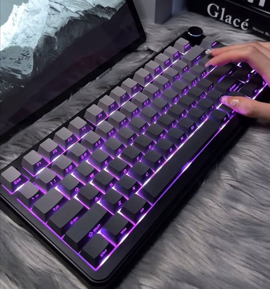 AK820 MAX Magnetic Mechanical Keyboard with RGB Lighting, Wired Full-Key Hot-Swappable PC Board